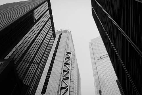 office building grayscale photography of curtain wall buildings black-and-white